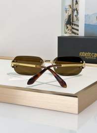 Picture of Roberto Cavalli Sunglasses _SKUfw79280009fw